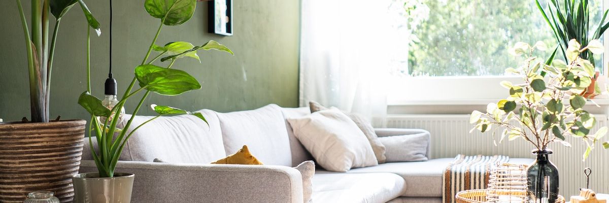 Green Livingroom